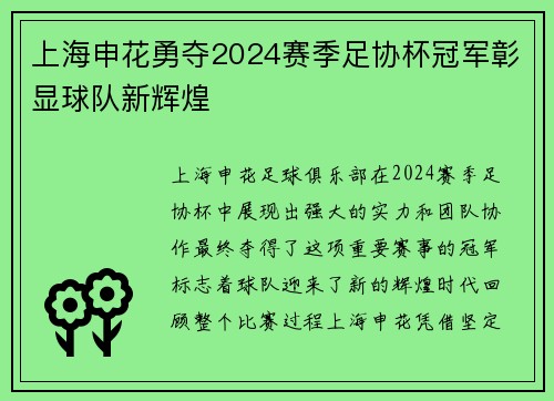 上海申花勇夺2024赛季足协杯冠军彰显球队新辉煌